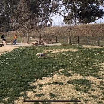 Watson Dog Park photo 1
